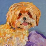 Billy
12 X 12
Oil
SOLD